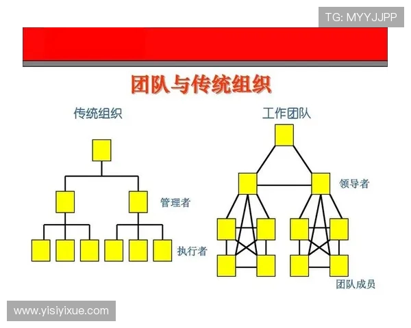 上海排球队灵活性探讨：战术创新与团队协作的完美结合