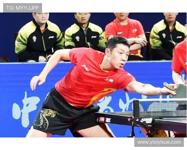 乒乓球力量榜单揭晓武汉乒乓球队荣登第十位展现实力与潜力