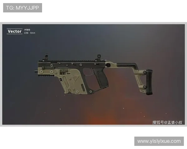 对话赵敏：回顾和平精英生涯与未来展望的深度交流