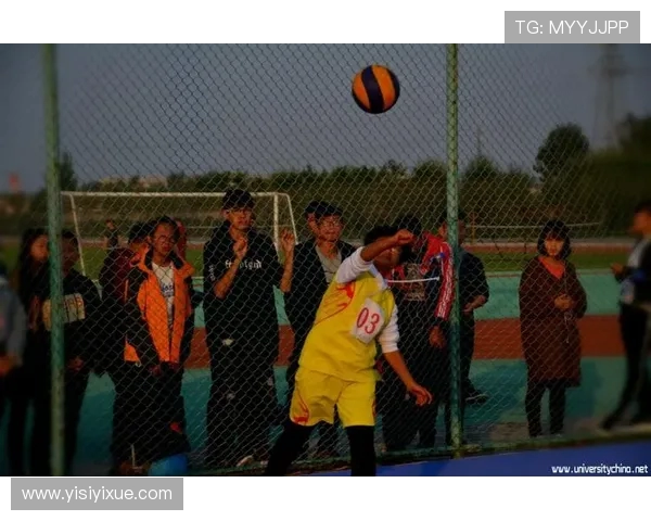 杭州排球队在城市联赛中的默契配合与战术分析