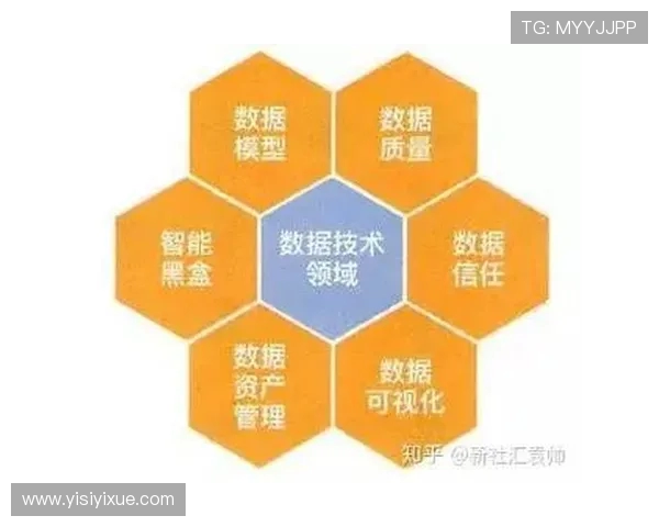 深圳羽毛球队的战术运营体系解析与实践经验分享